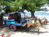 Horse Car Gili Air  Divers - Gili Meno Divers Gili Trawangan Lombok Bali Indonesia
